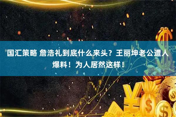 国汇策略 詹浩礼到底什么来头？王丽坤老公遭人爆料！为人居然这样！