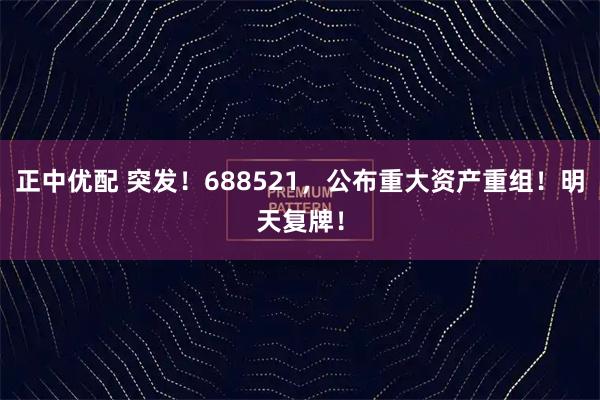 正中优配 突发！688521，公布重大资产重组！明天复牌！